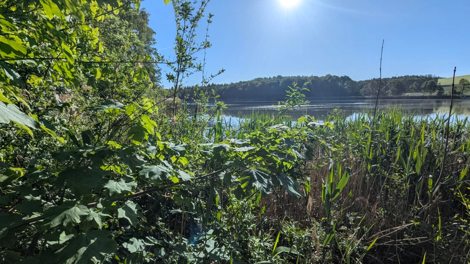 Natursee & Naturbad